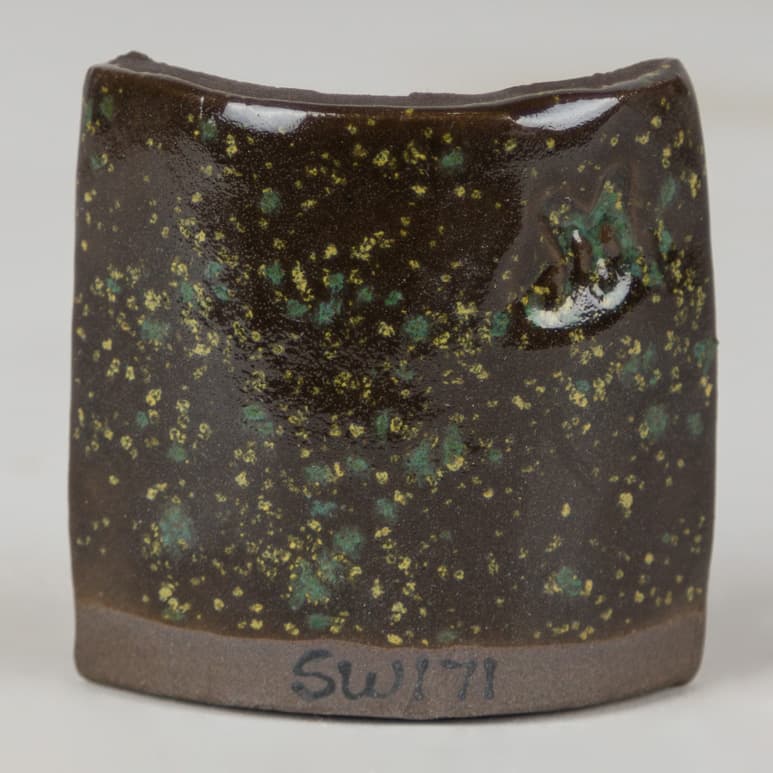 SW171P - Enchanted Forest - Pint - Imagen 5