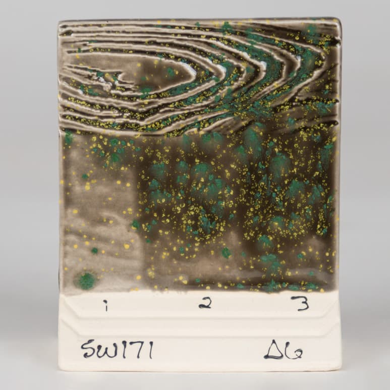 SW171P - Enchanted Forest - Pint - Imagen 7
