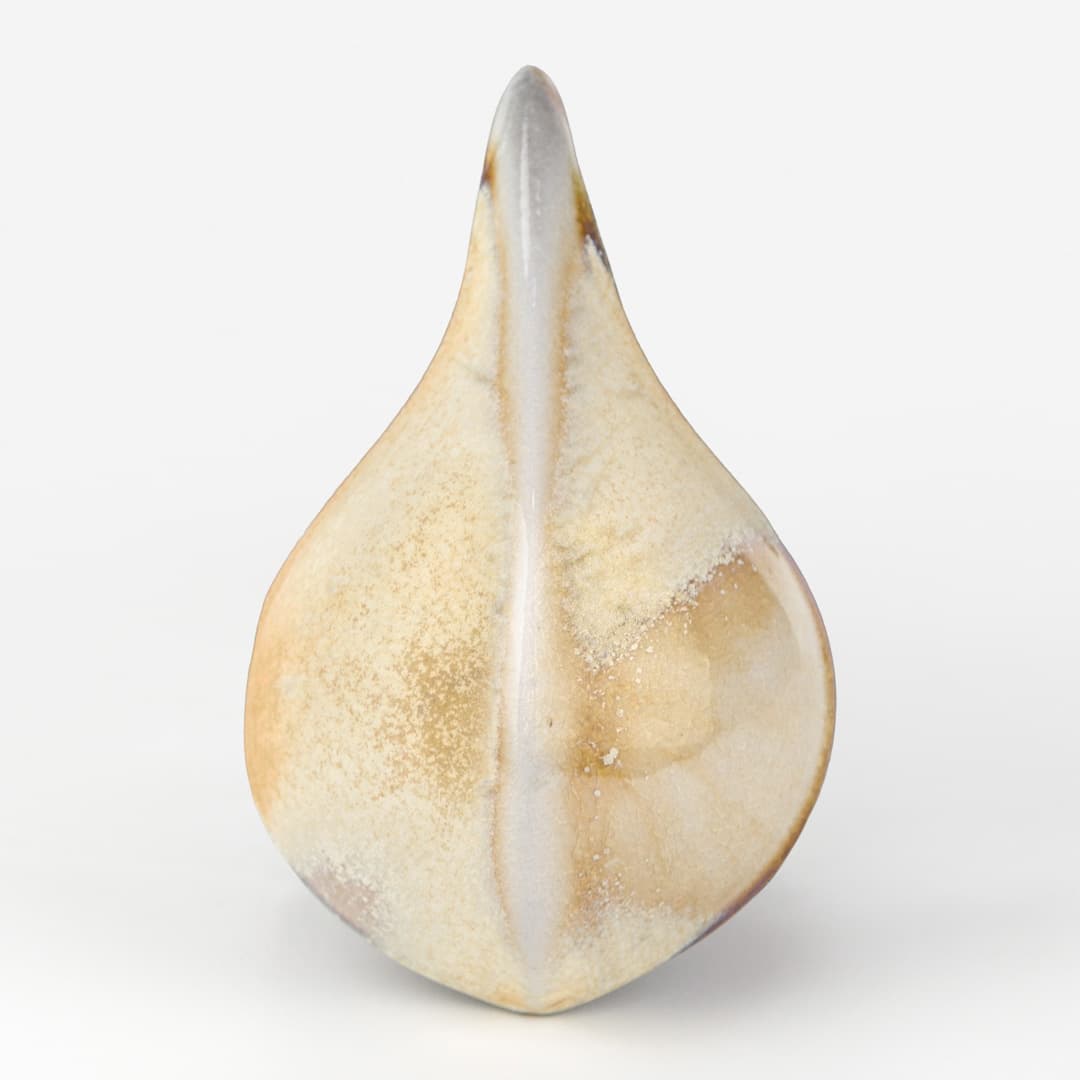 SW172P - Macadamia - Pint - Imagen 12