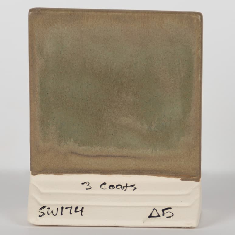 SW174P - Leather - Pint - Imagen 3