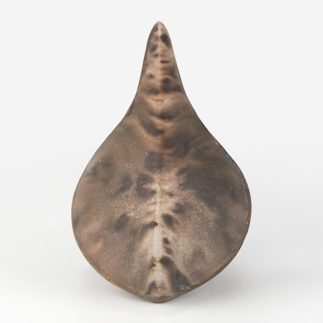 SW176P - Sandstone - Pint - Imagen 11