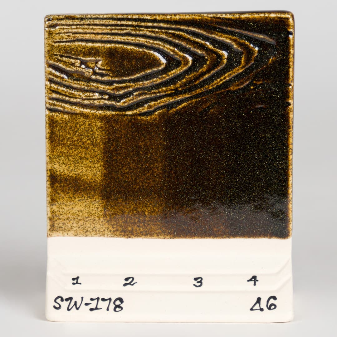 SW178P - Fool’s Gold - Pint - Imagen 5