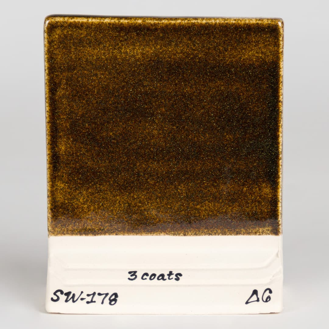 SW178P - Fool’s Gold - Pint - Imagen 6