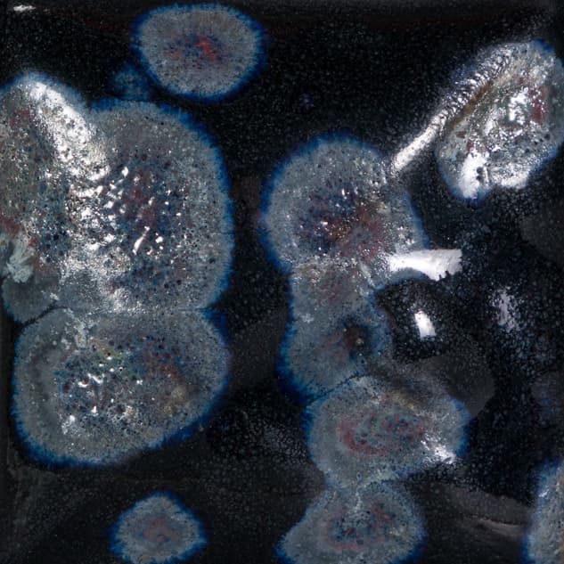 SW181P - Night Moth - Pint - Imagen 2