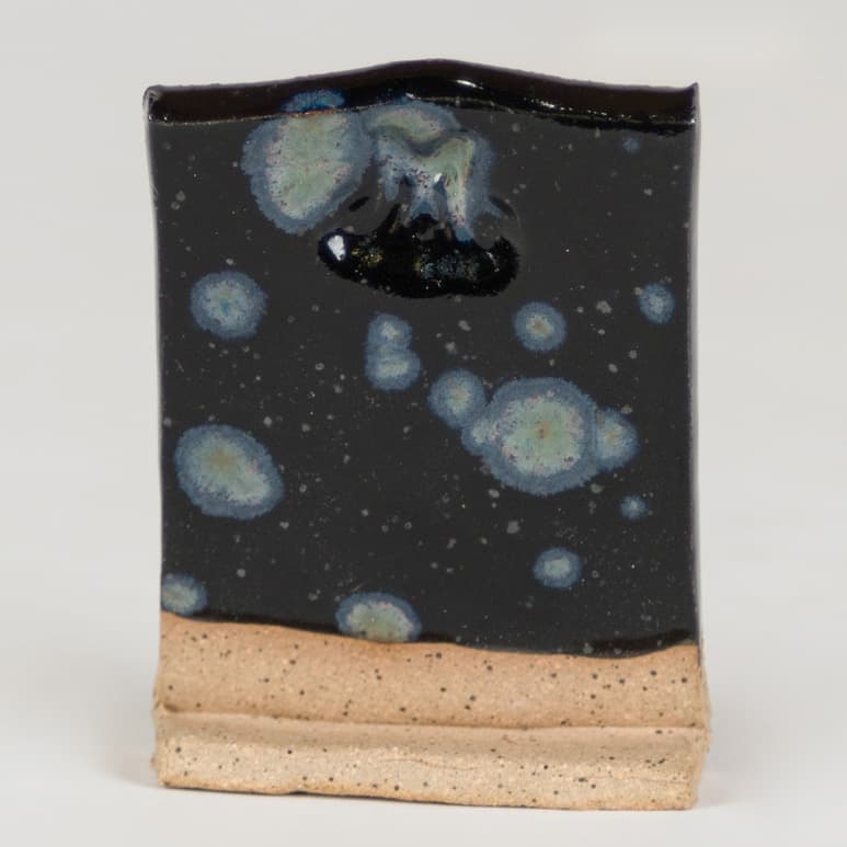 SW181P - Night Moth - Pint - Imagen 4