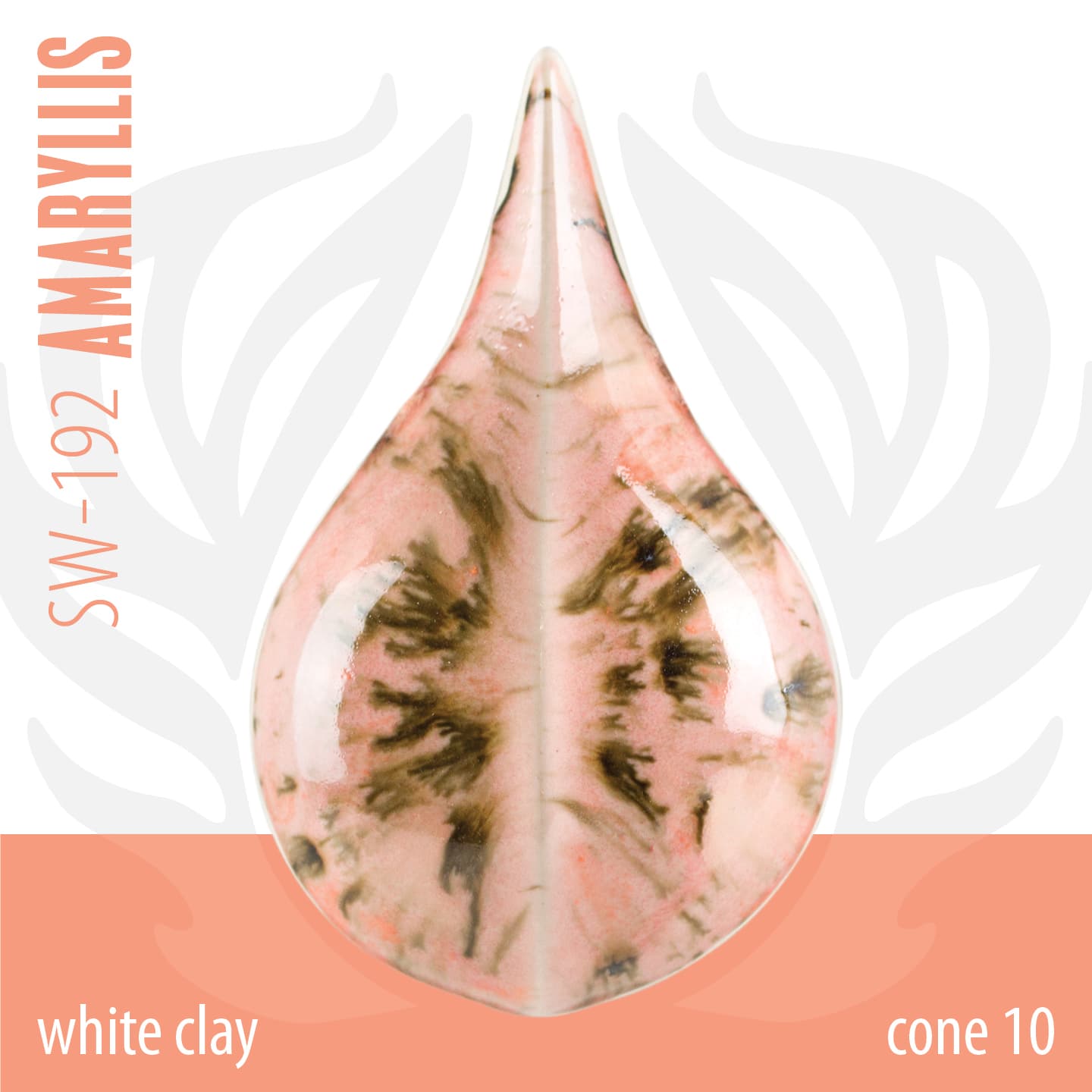 SW192P - Amaryllis - Pint - Imagen 7