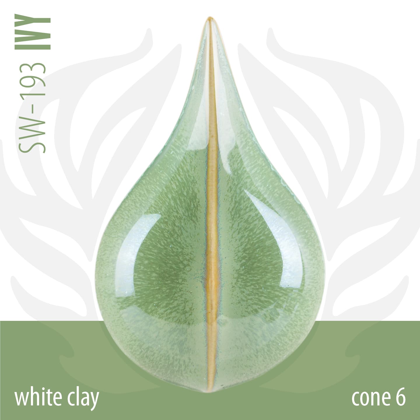 SW193P - Ivy - Pint - Imagen 3