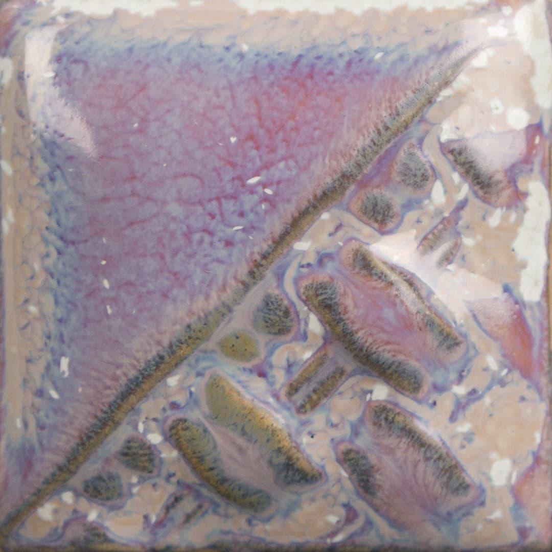 SW196P - Sand Dollar - Pint - Imagen 2