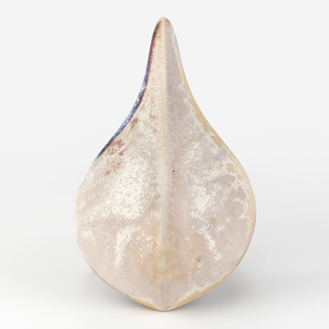 SW196P - Sand Dollar - Pint - Imagen 11