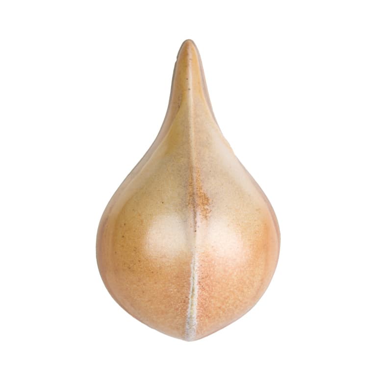 SW196P - Sand Dollar - Pint - Imagen 13