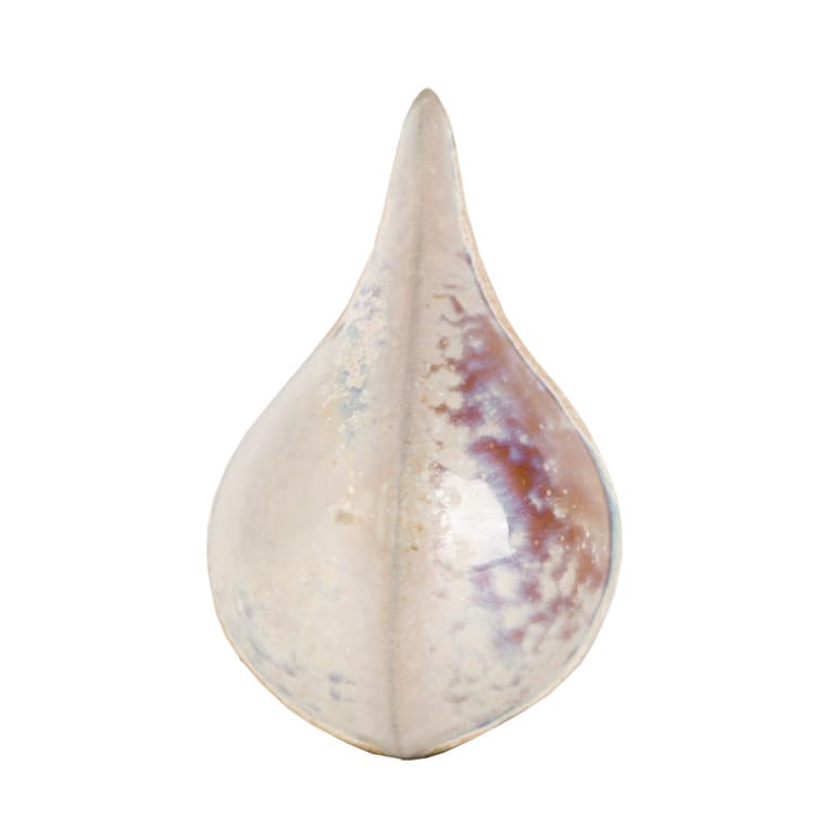 SW196P - Sand Dollar - Pint - Imagen 8