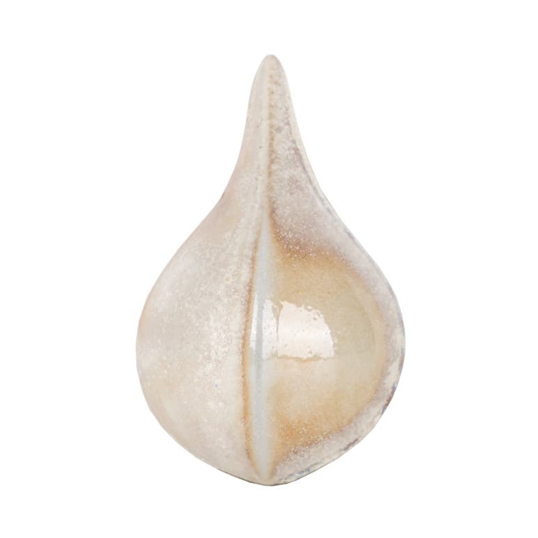 SW196P - Sand Dollar - Pint - Imagen 9