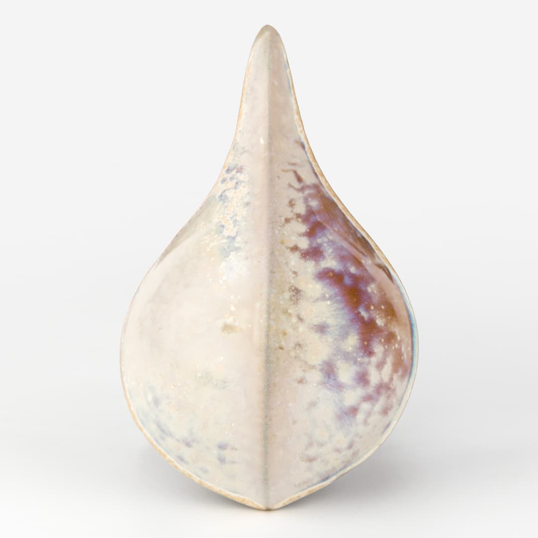 SW196P - Sand Dollar - Pint - Imagen 10