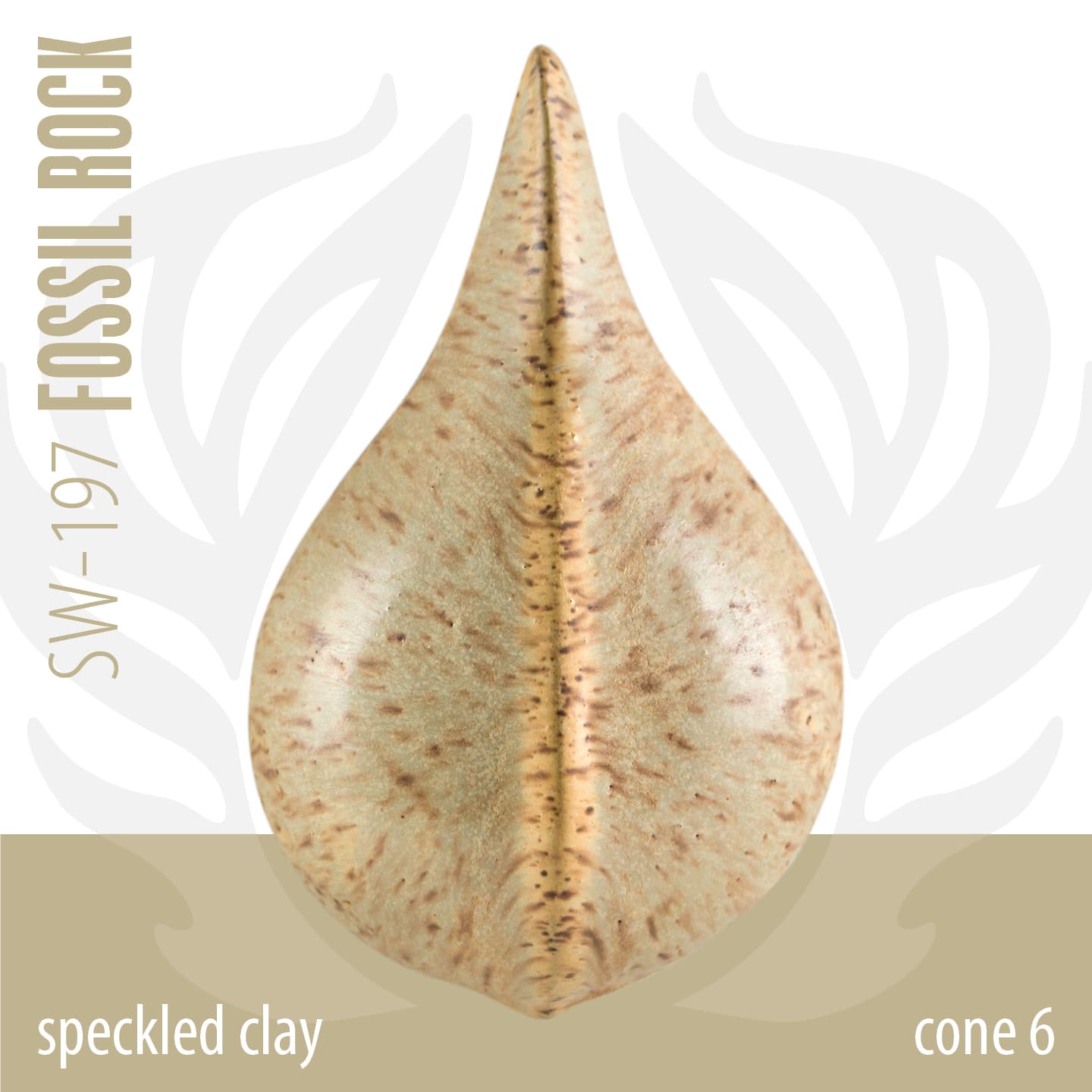 SW197P - Fossil Rock - Pint - Imagen 6