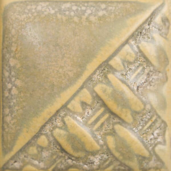 SW197P - Fossil Rock - Pint - Imagen 1