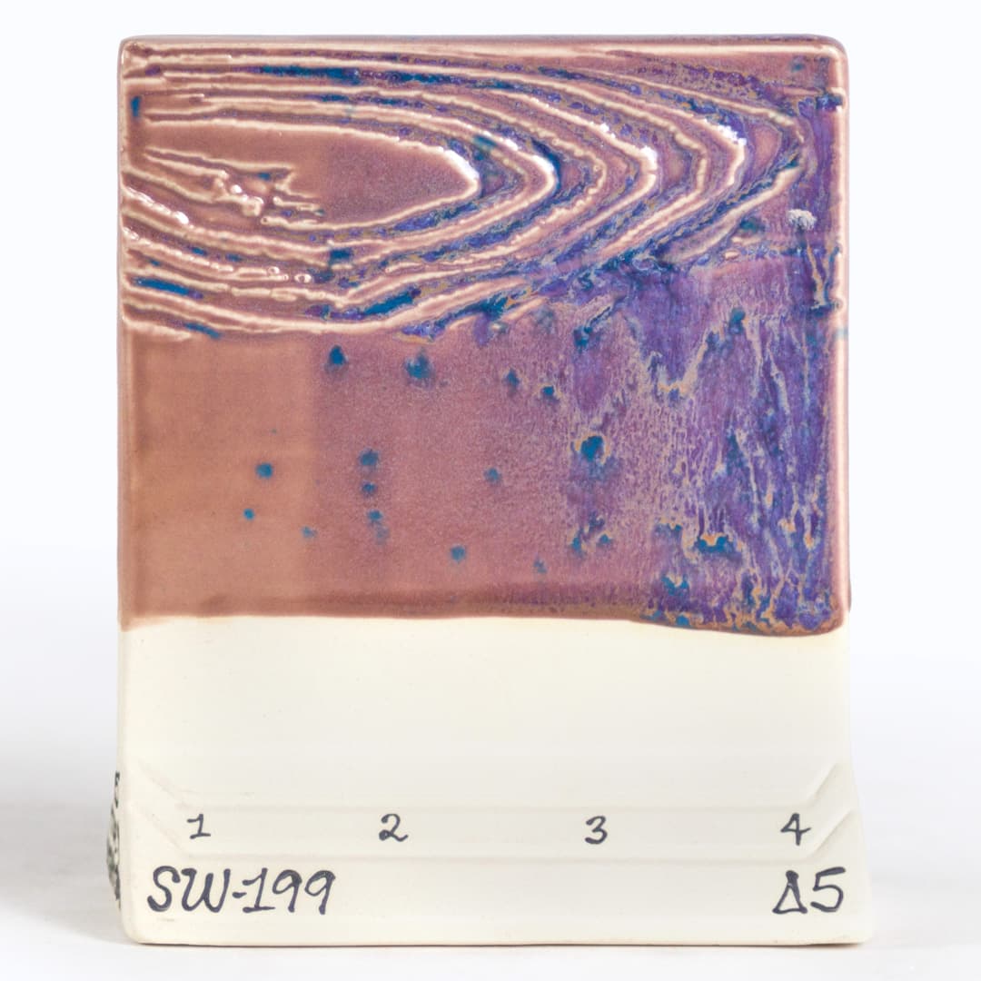 SW199P - Purple Aster - Pint - Imagen 8