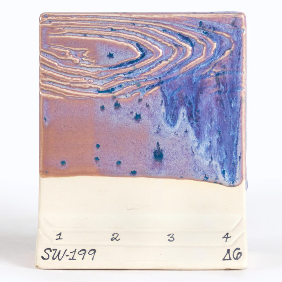 SW199P - Purple Aster - Pint - Imagen 9