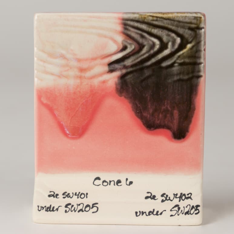 SW205P - Coral - Pint - Imagen 11