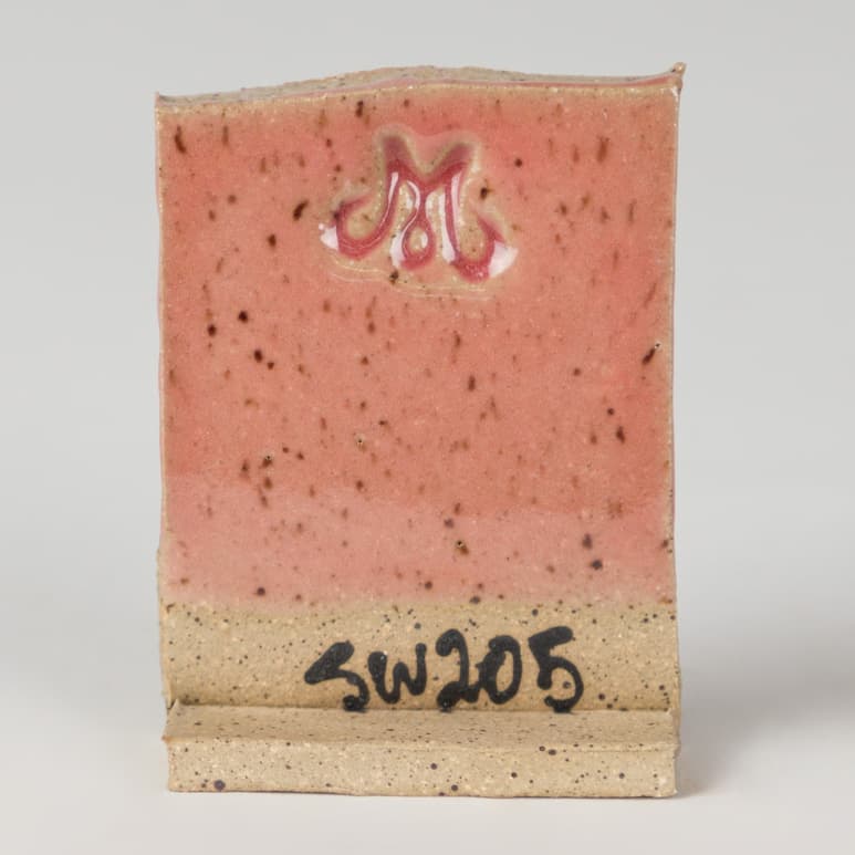 SW205P - Coral - Pint - Imagen 4