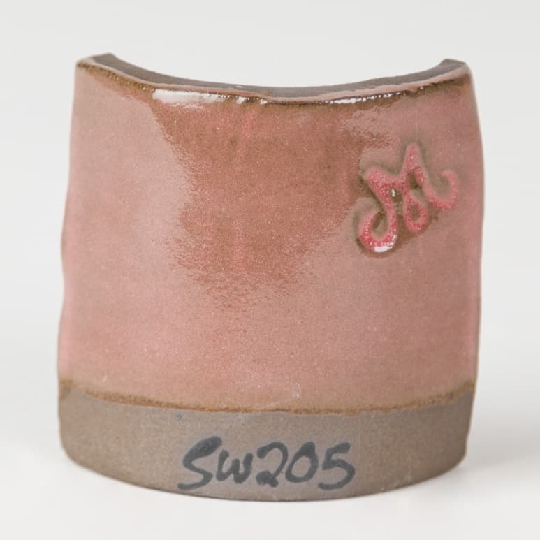 SW205P - Coral - Pint - Imagen 5