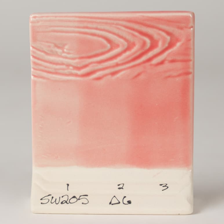 SW205P - Coral - Pint - Imagen 7