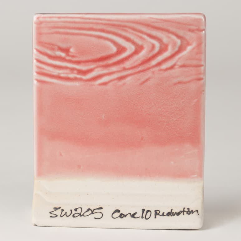 SW205P - Coral - Pint - Imagen 8