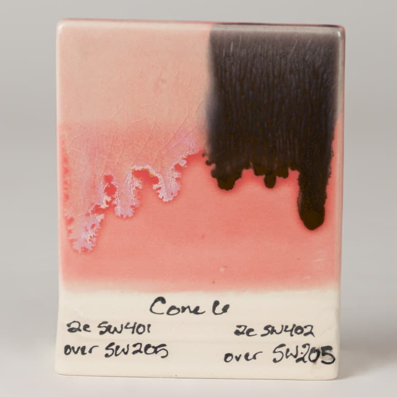 SW205P - Coral - Pint - Imagen 10