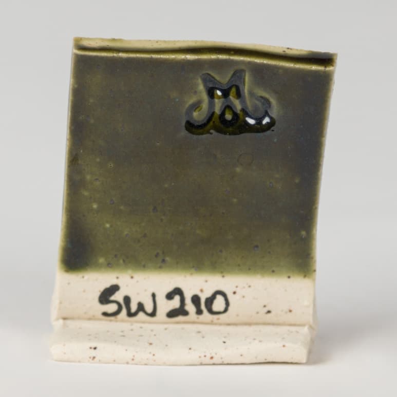 SW210P - Emerald - Pint - Imagen 3