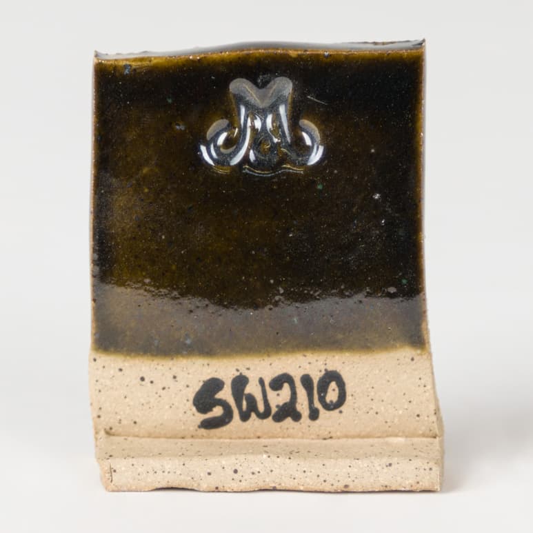 SW210P - Emerald - Pint - Imagen 4