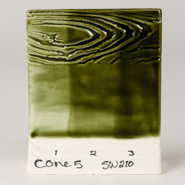 SW210P - Emerald - Pint - Imagen 6