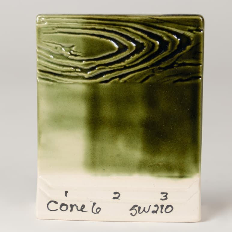 SW210P - Emerald - Pint - Imagen 7