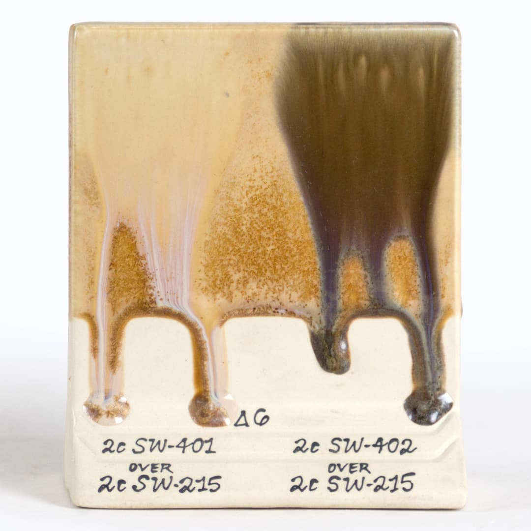 SW215P - Micro Champagne - Pint - Imagen 11