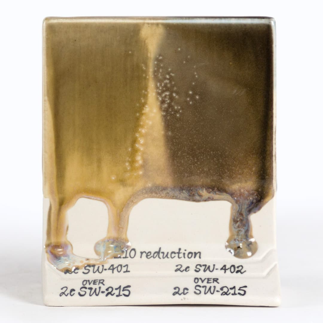 SW215P - Micro Champagne - Pint - Imagen 13