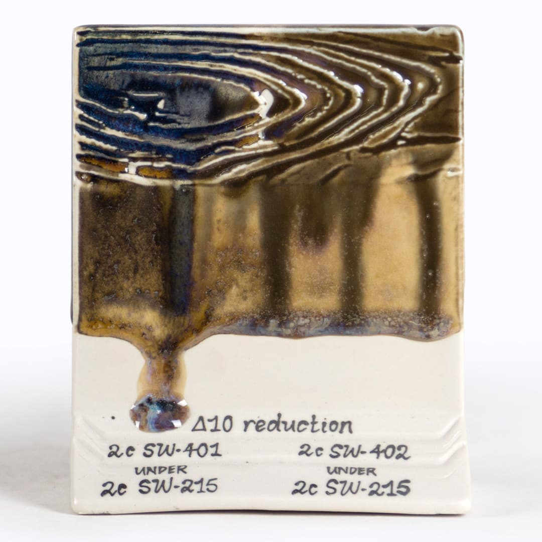 SW215P - Micro Champagne - Pint - Imagen 14