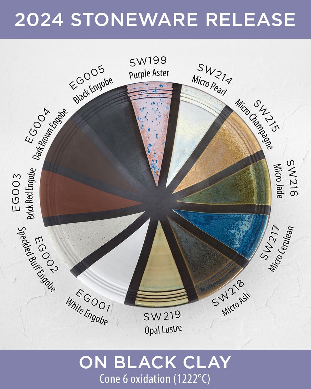 SW215P - Micro Champagne - Pint - Imagen 7