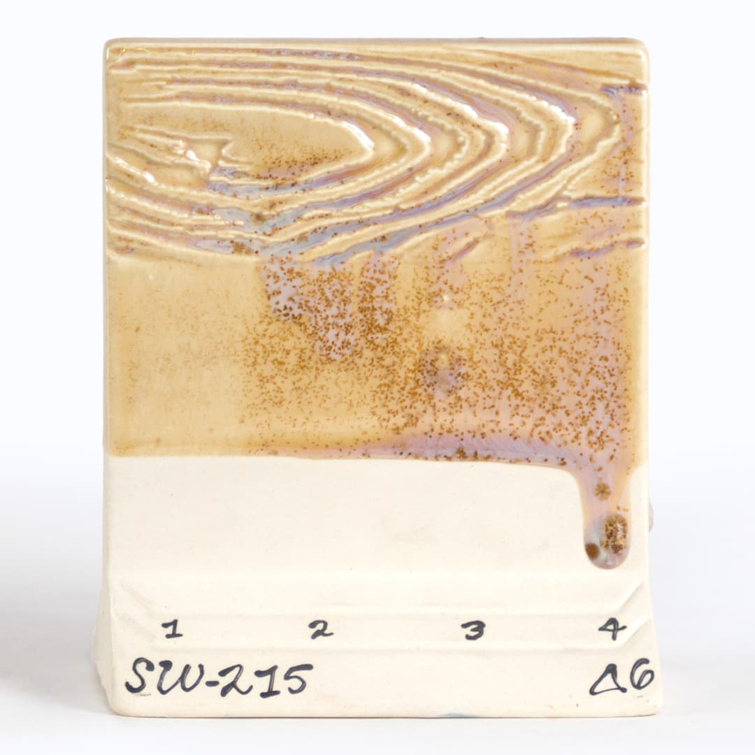 SW215P - Micro Champagne - Pint - Imagen 9