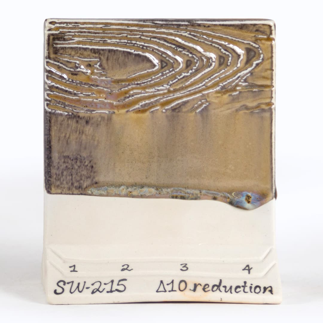 SW215P - Micro Champagne - Pint - Imagen 10