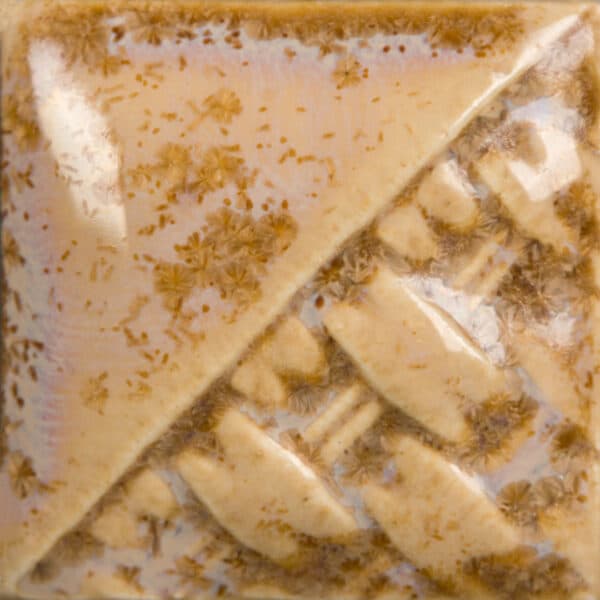 SW215P - Micro Champagne - Pint - Imagen 1
