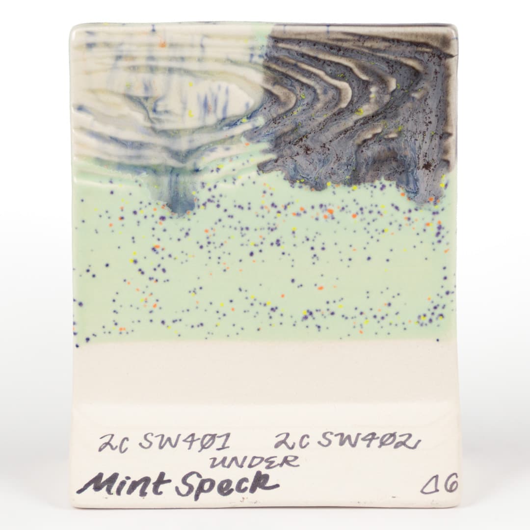 SW221P - Mint Speck - Pint - Imagen 11