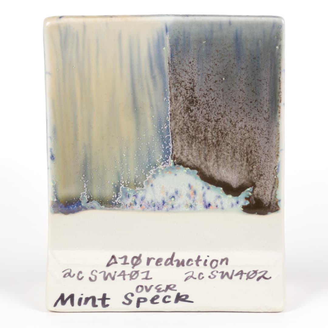 SW221P - Mint Speck - Pint - Imagen 13