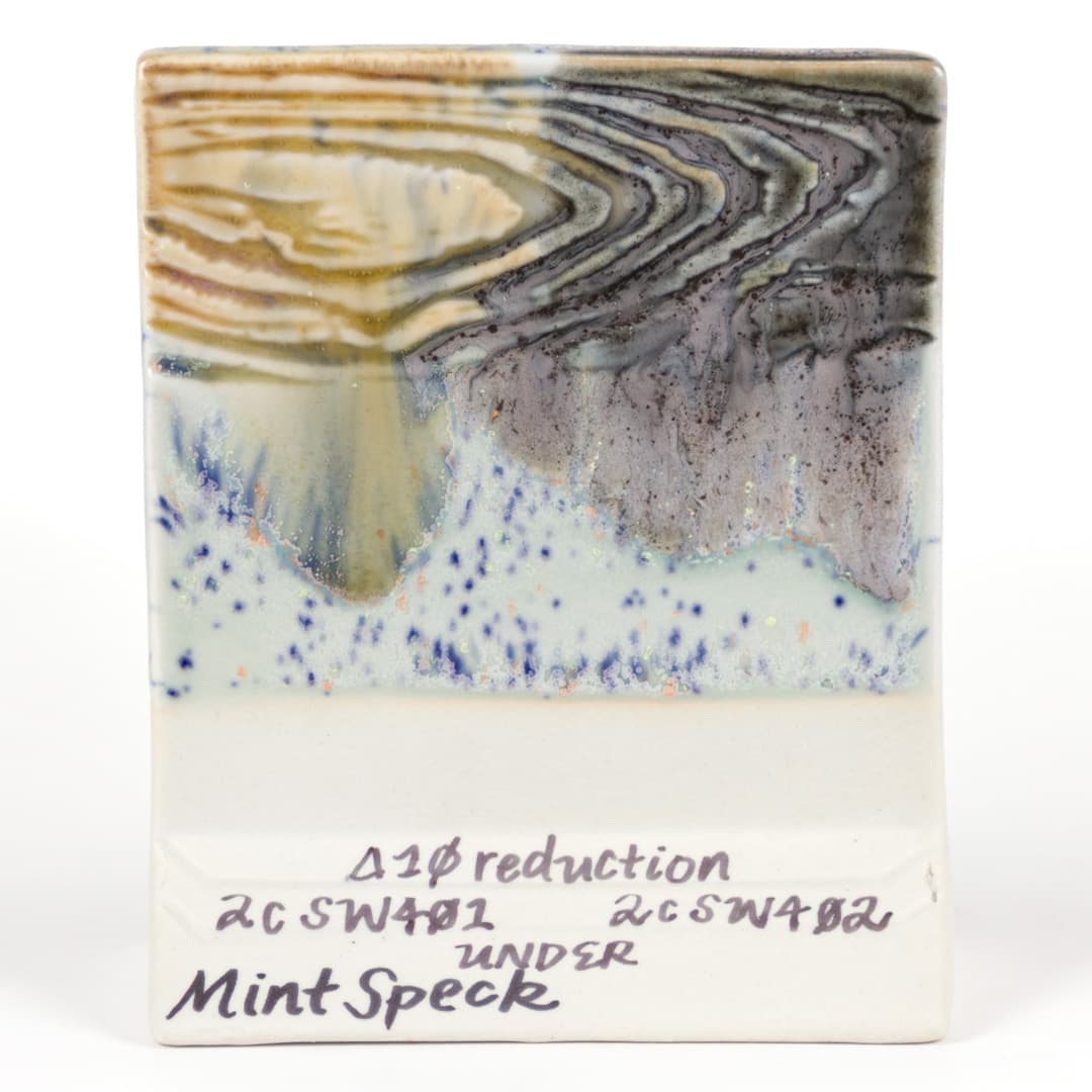 SW221P - Mint Speck - Pint - Imagen 14