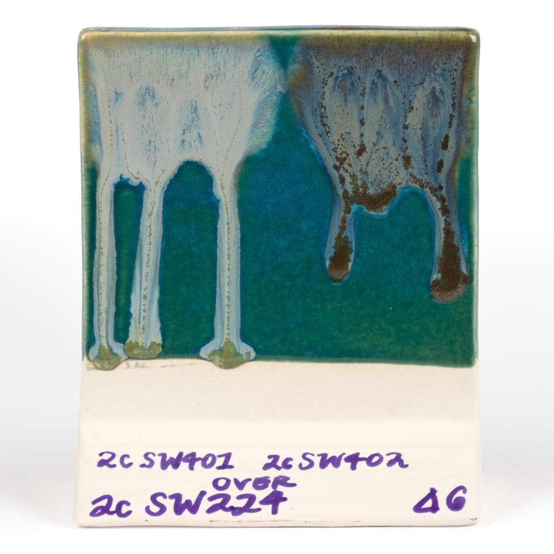 SW224P - Tropical Teal - Pint - Imagen 11