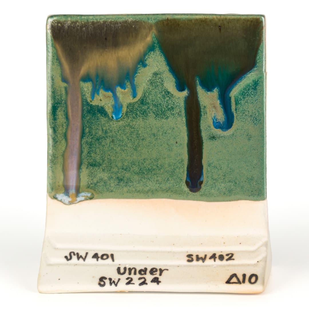 SW224P - Tropical Teal - Pint - Imagen 14