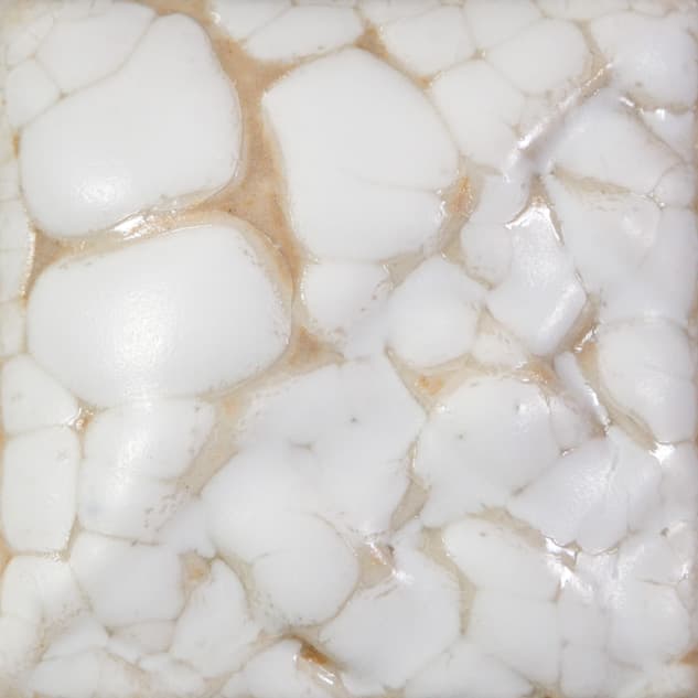 SW403P - White Mudcrack - Pint - Imagen 2