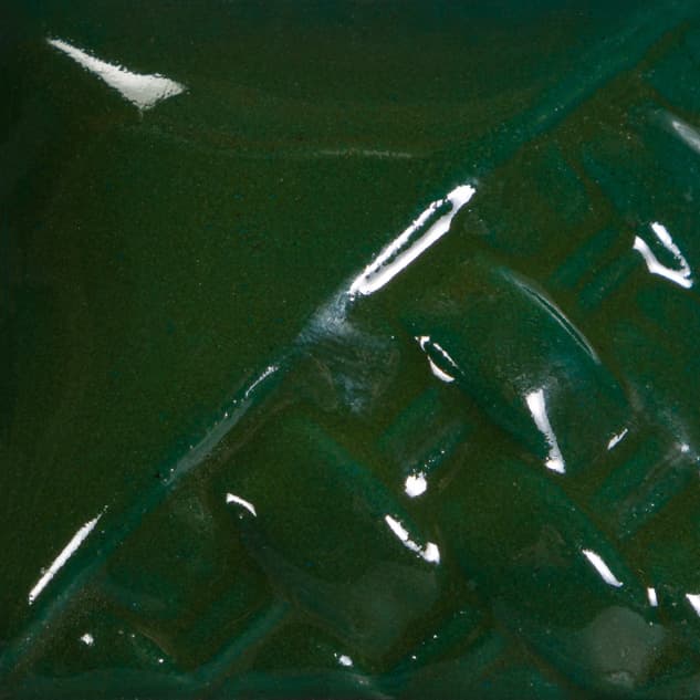 SW509P - Dark Green Gloss - Pint - Imagen 2