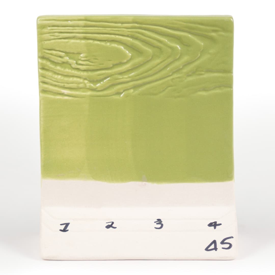 SW514P - Sage Gloss - Pint - Imagen 8