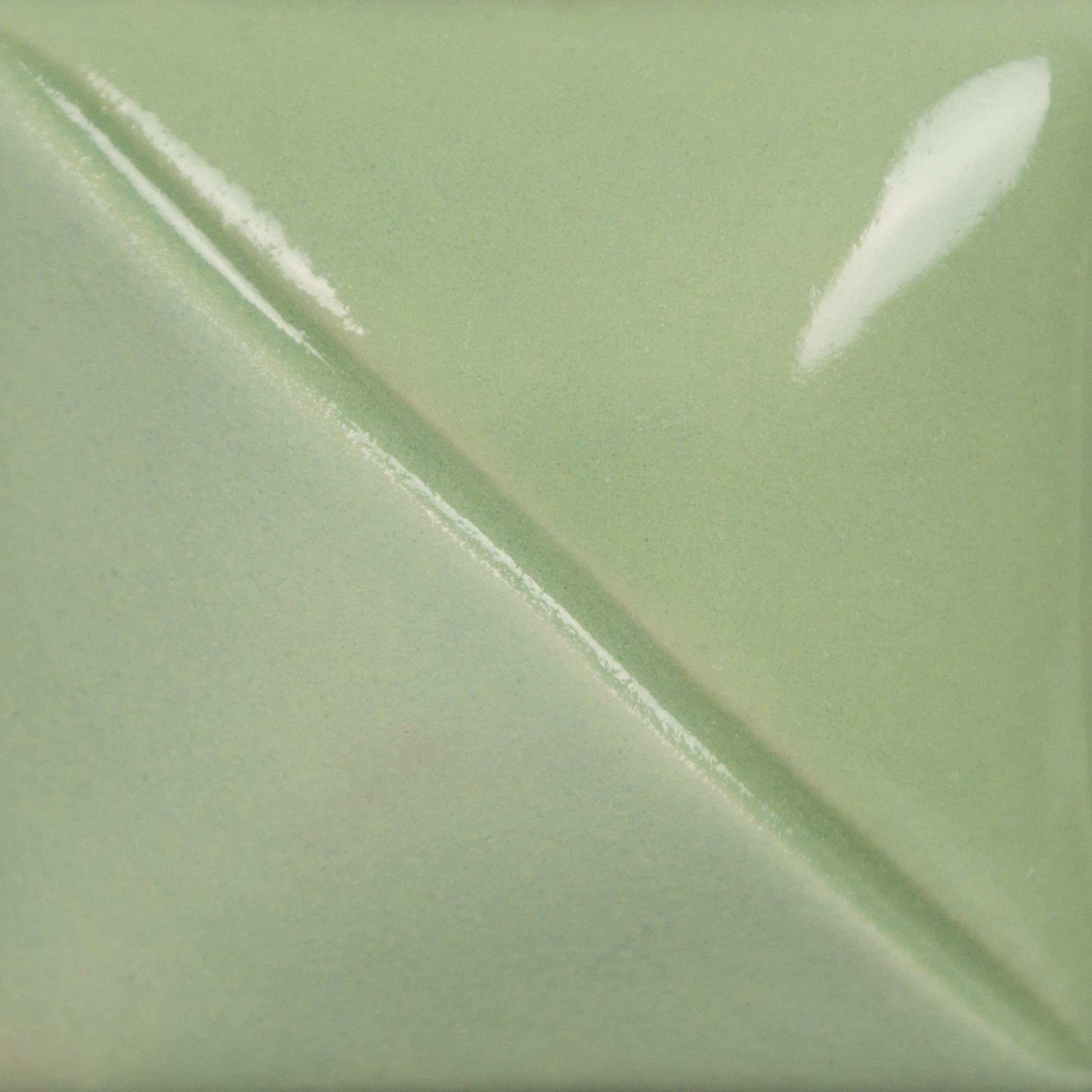 UG2334 - Eucalyptus - 4 oz - Imagen 2