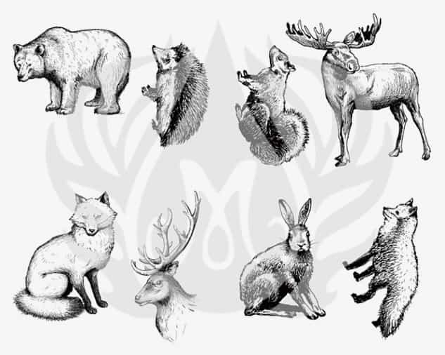 DSS0101 - Designer Silkscreen Woodland Animals