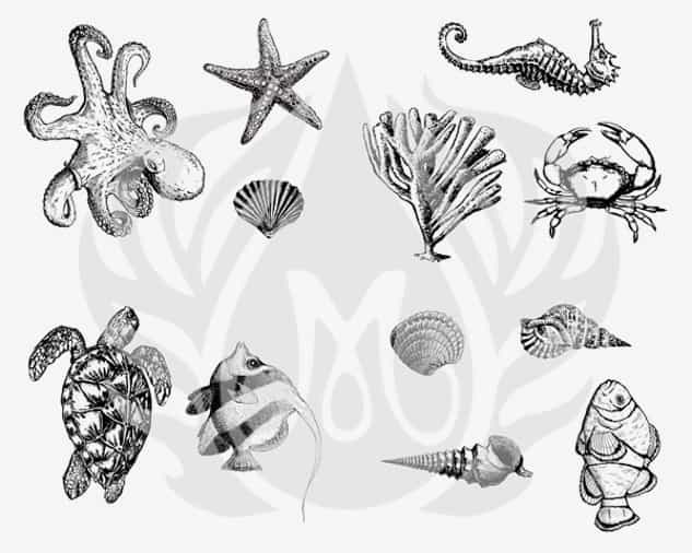 DSS0102 - Designer Silkscreen Sea Life