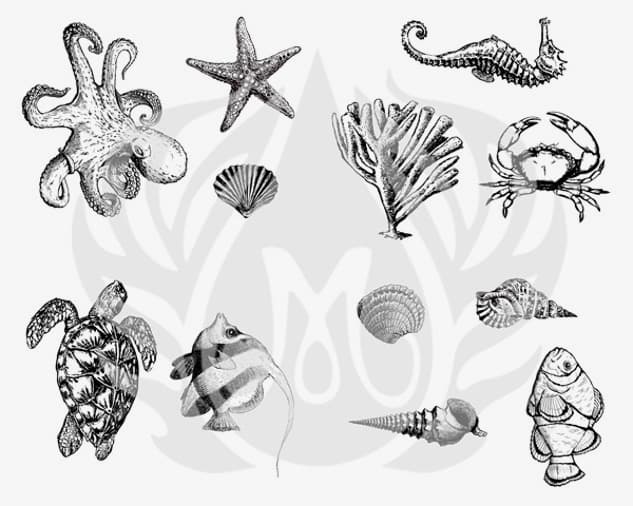 DSS0102 - Designer Silkscreen Sea Life - Imagen 1